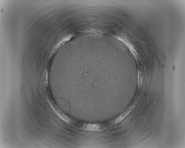 X0000087520157200705041221