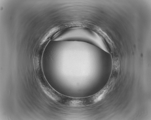 X0000087520158200705041221