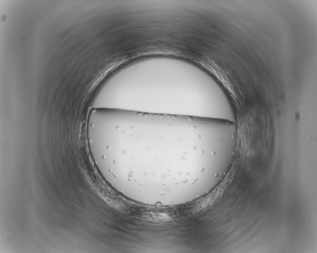 X0000087520159200705041221