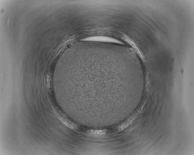 X0000087520161200705041221