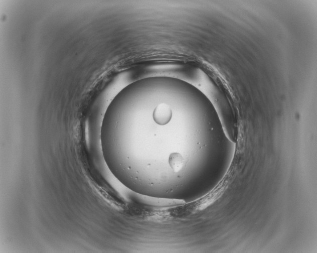 X0000087520162200705041221