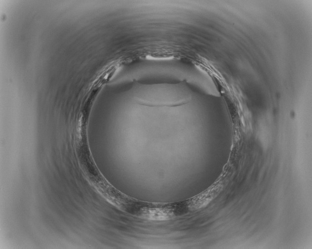 X0000087520163200705041221