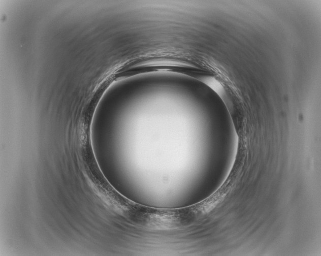 X0000087520164200705041221