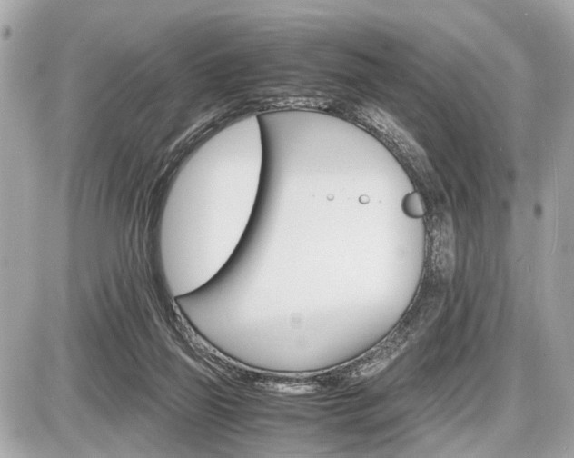 X0000087520165200705041221