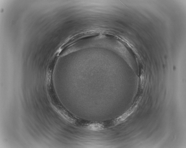 X0000087520168200705041221