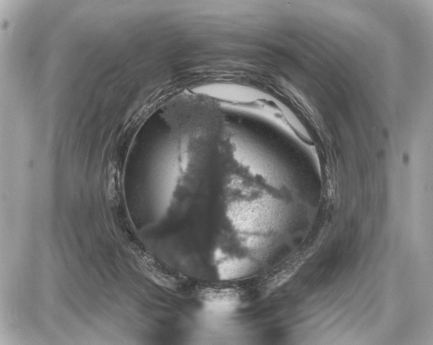 X0000087520169200705041221