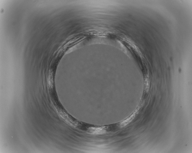 X0000087520170200705041221