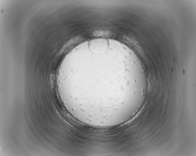 X0000087520171200705041221