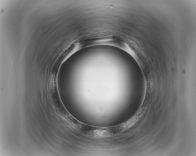 X0000087520172200705041221