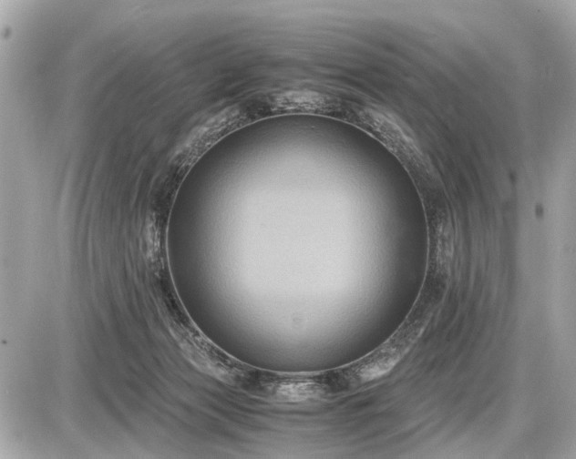 X0000087520173200705041221