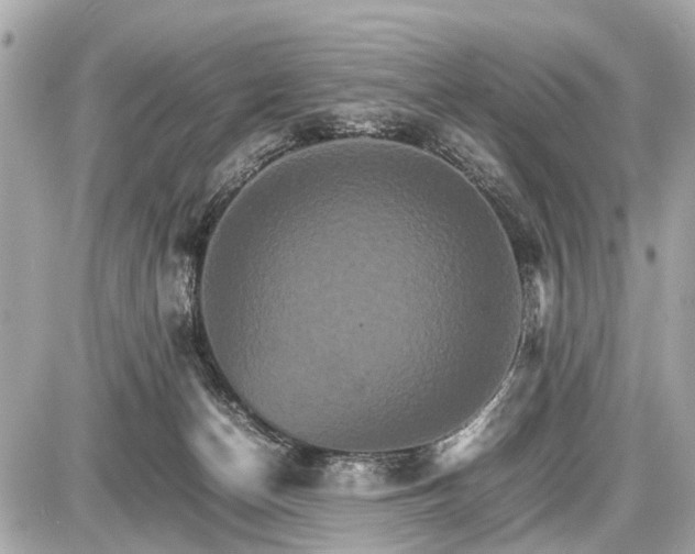 X0000087520174200705041221