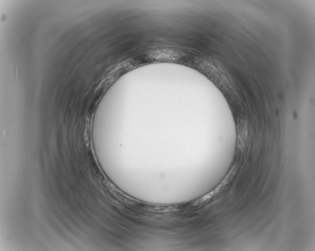 X0000087520175200705041221