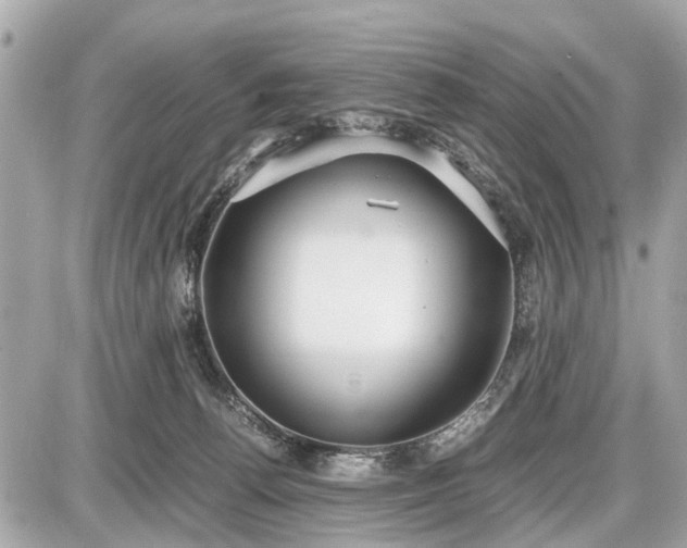 X0000087520176200705041221