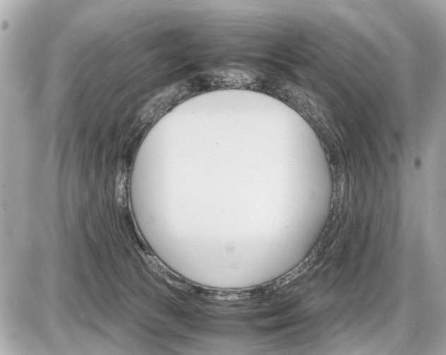 X0000087520177200705041221