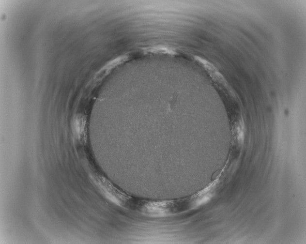 X0000087520178200705041222