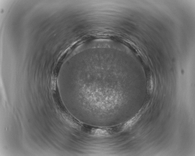 X0000087520180200705041222