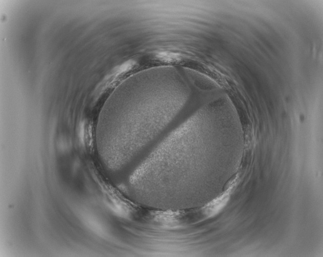 X0000087520182200705041222