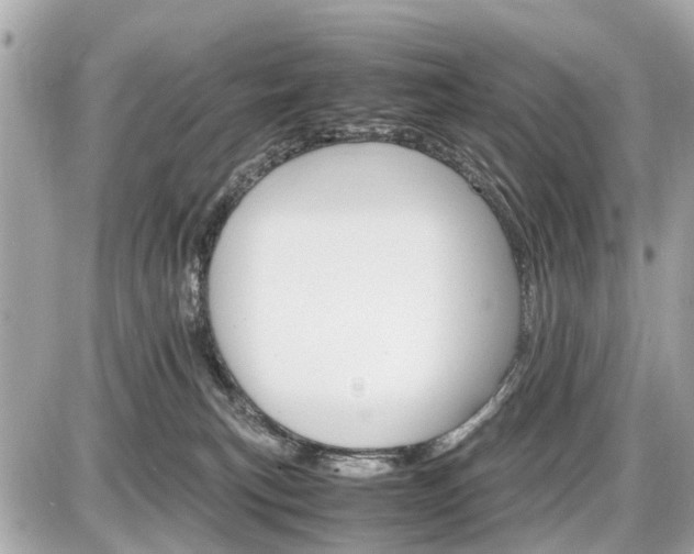 X0000087520183200705041222