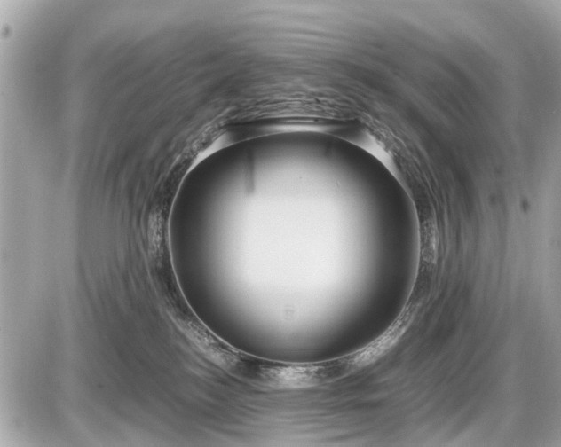 X0000087520184200705041222