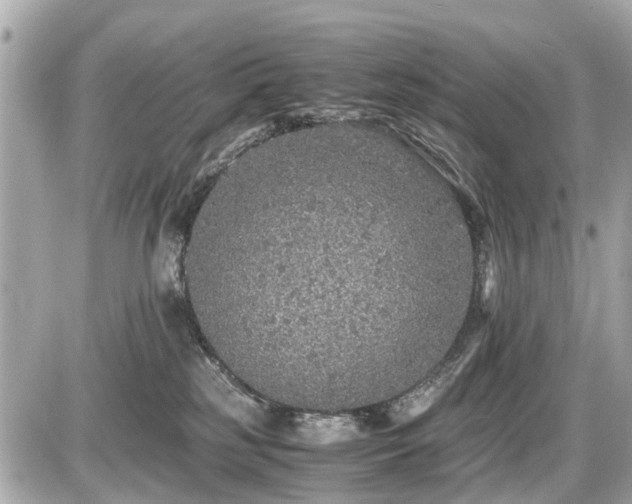 X0000087520185200705041222