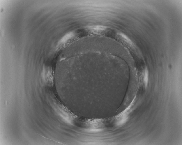 X0000087520186200705041222