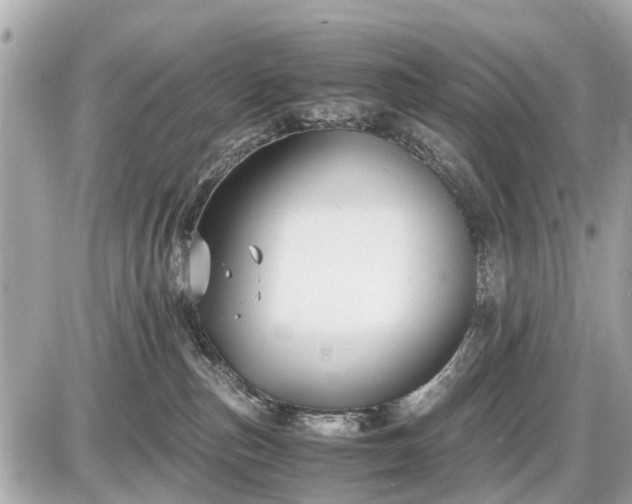 X0000087520187200705041222