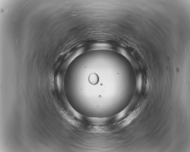 X0000087520188200705041222