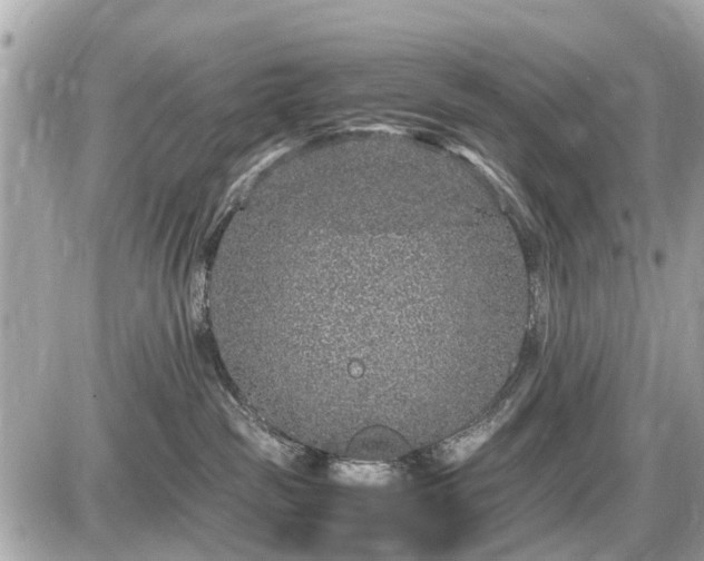 X0000087520189200705041222