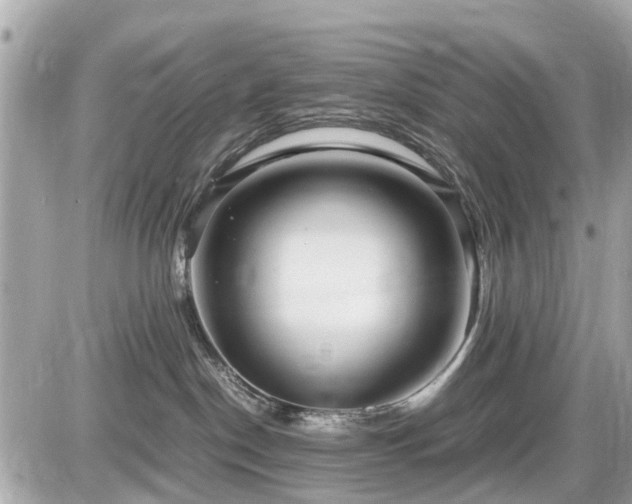 X0000087520190200705041222