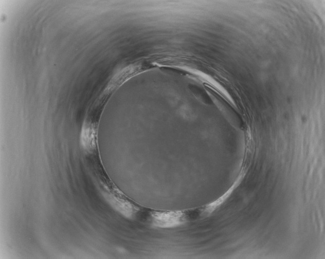 X0000087520191200705041222