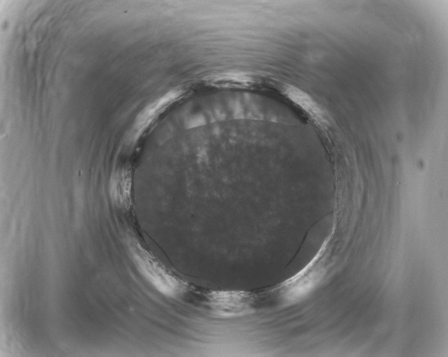 X0000087520192200705041222