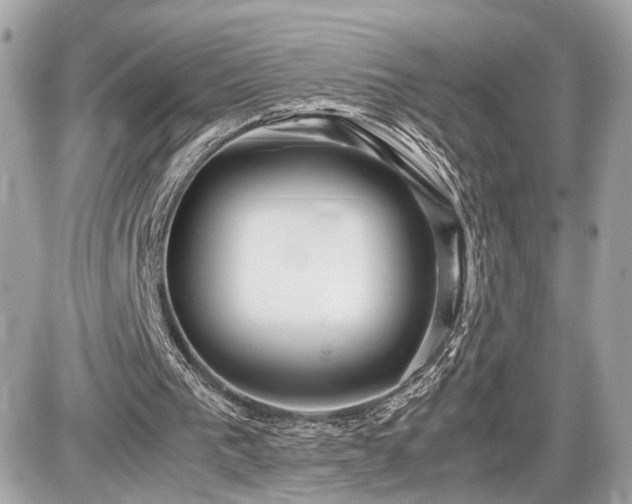 X0000087520193200705041221