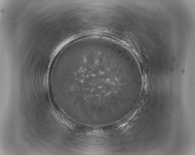 X0000087520196200705041221