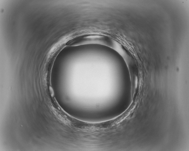 X0000087520197200705041221