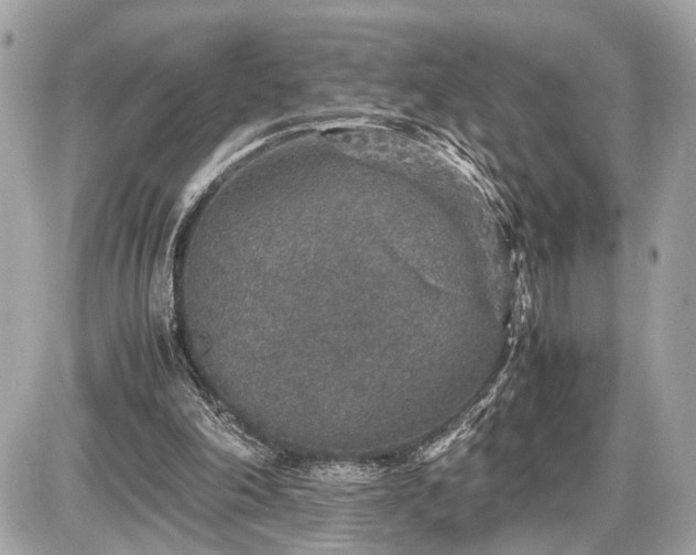 X0000087520198200705041221