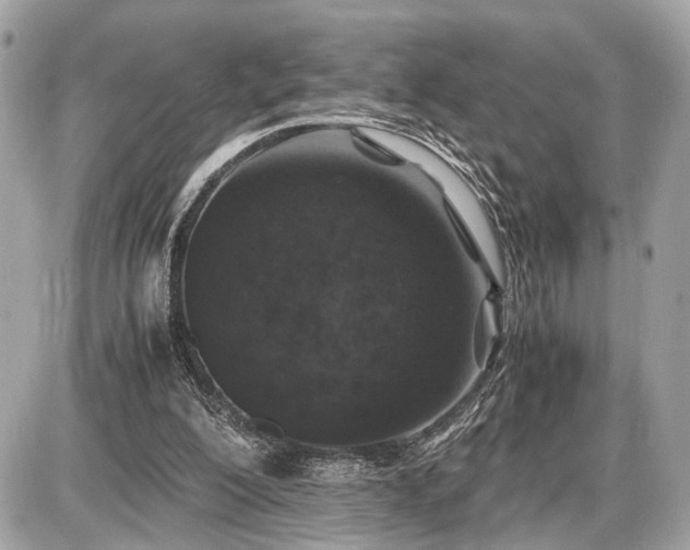 X0000087520200200705041221