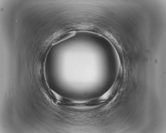 X0000087520201200705041221