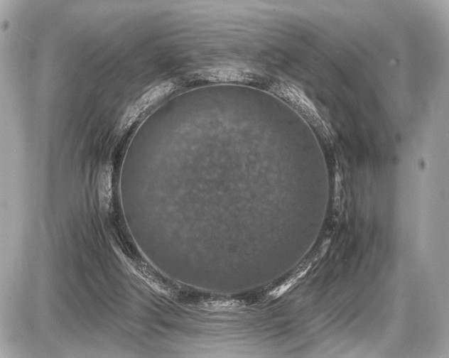 X0000087520202200705041221