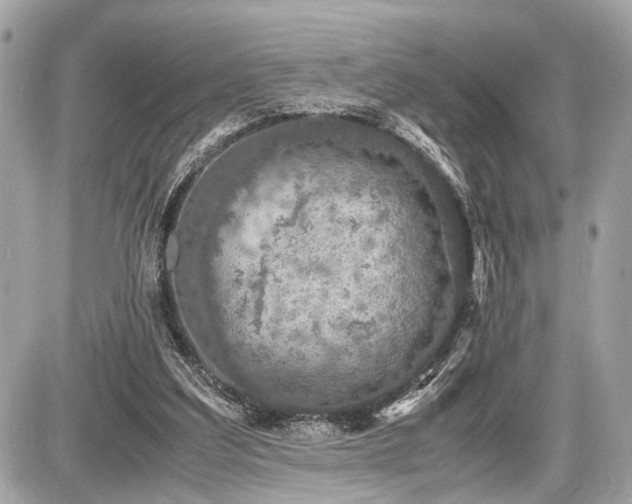 X0000087520203200705041221