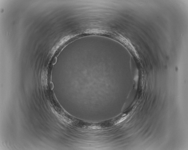 X0000087520204200705041221