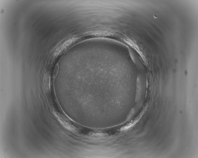 X0000087520205200705041221