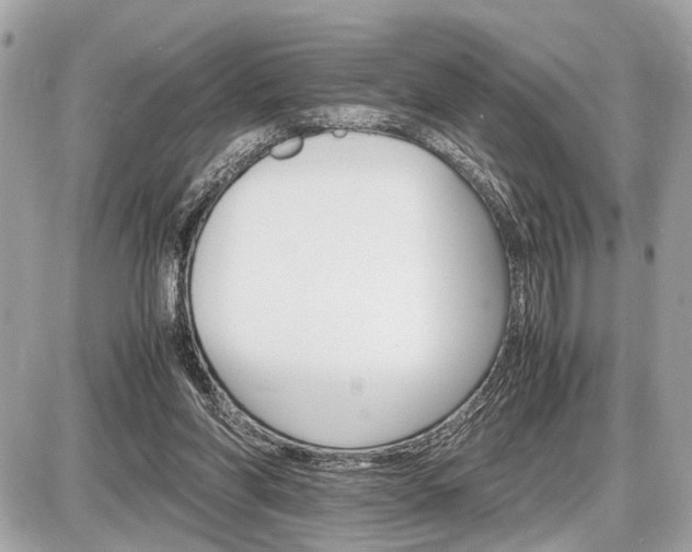 X0000087520206200705041221