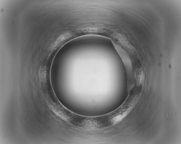 X0000087520207200705041221