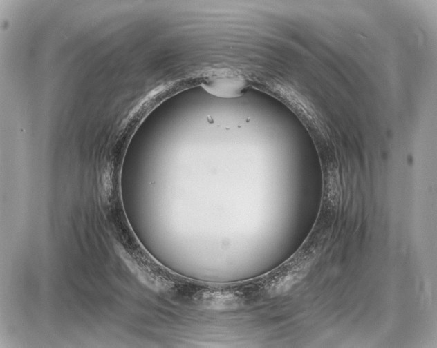 X0000087520208200705041221