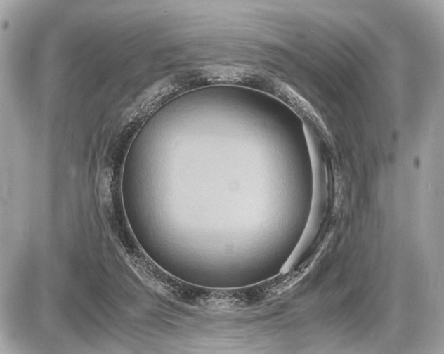 X0000087520209200705041221