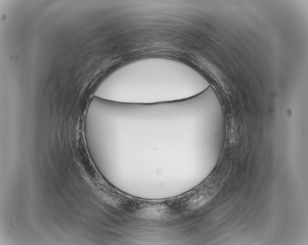 X0000087520210200705041221