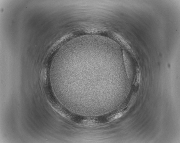 X0000087520211200705041221