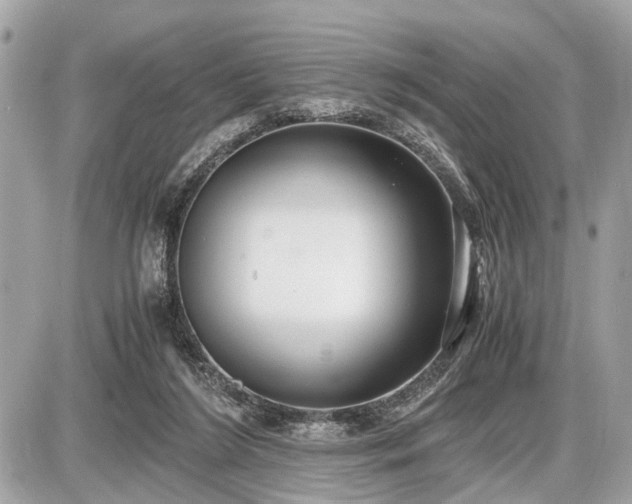 X0000087520212200705041221