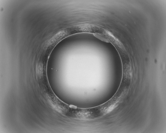 X0000087520213200705041221