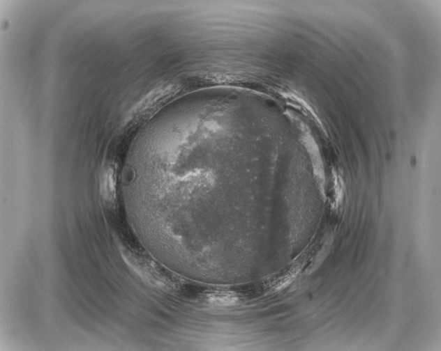 X0000087520214200705041221